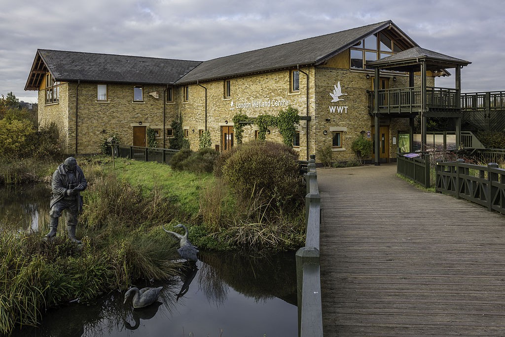 העולם הרטוב London Wetland Centre   