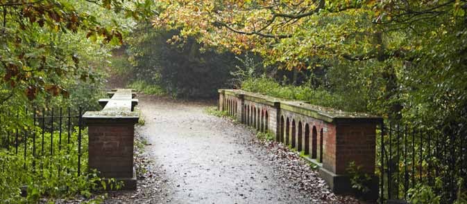 המפסטד הית’ Hampstead Heath   