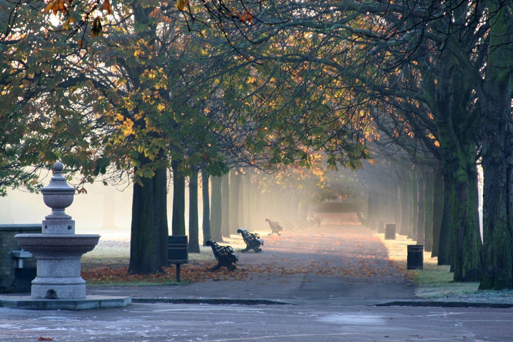 פארק גריניץ’ Greenwich Park    