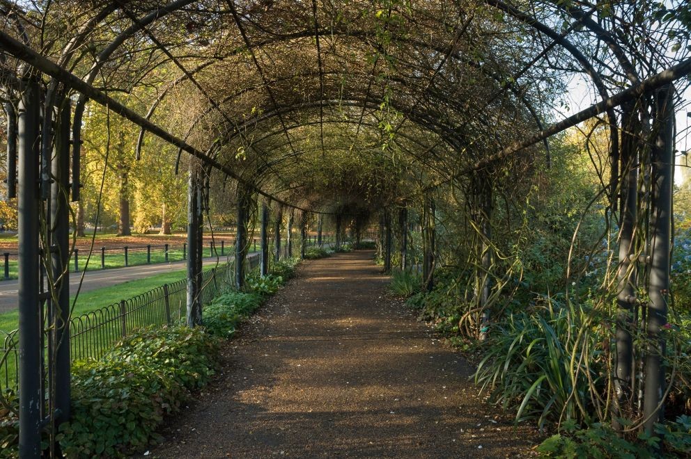 Гайд сад. Худе парк Лондон. Rose Garden гайд парк. Лондонский гайд парк. The Rose Garden in Hyde Park.